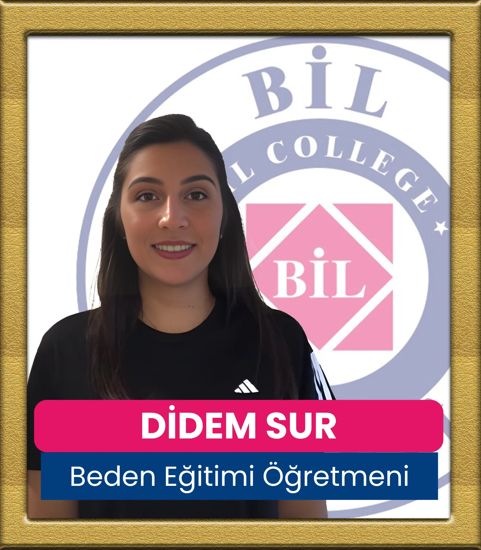 Didem Sur