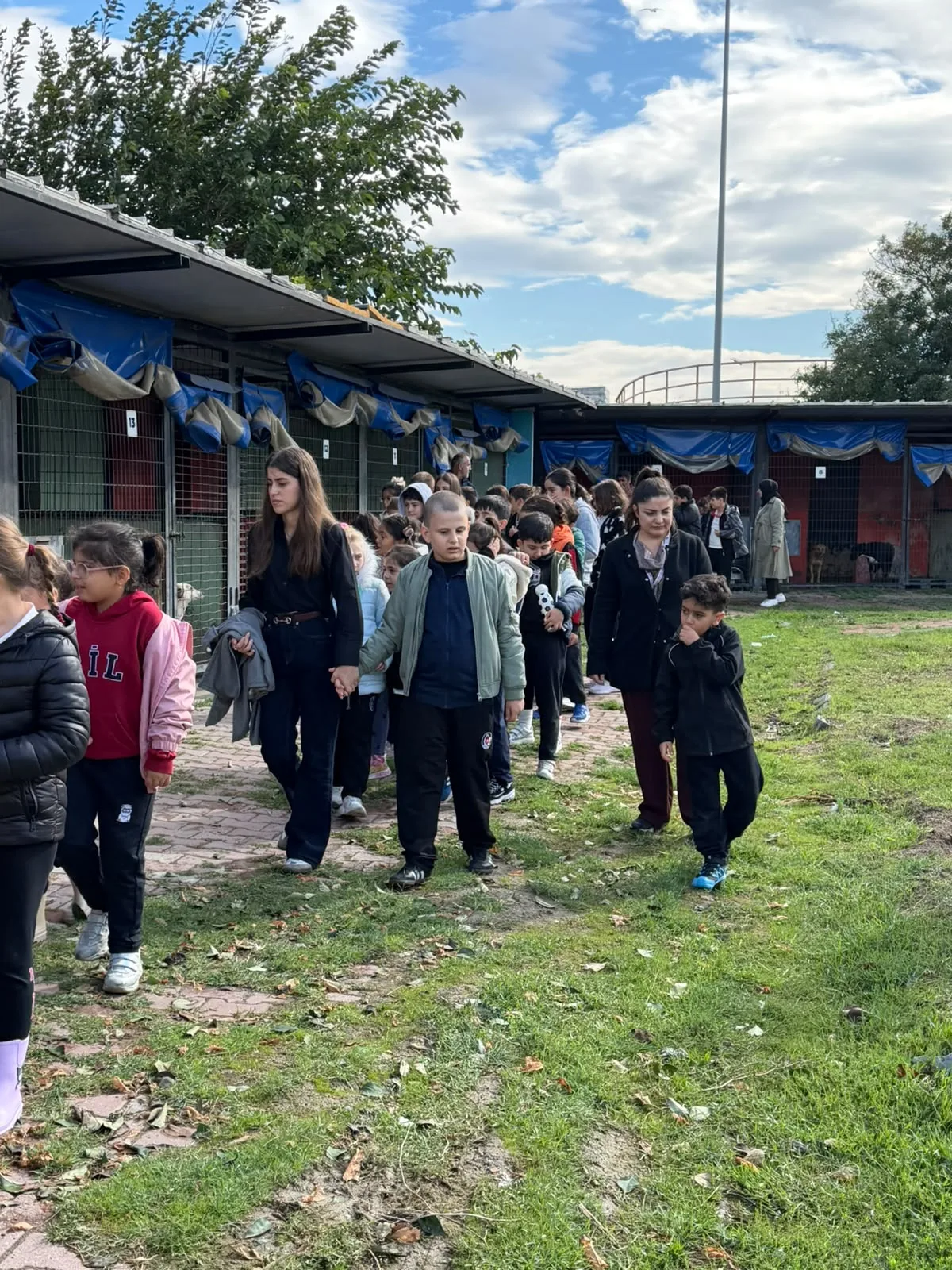 4 Ekim Dünya Hayvanları Koruma Günü görseli 4