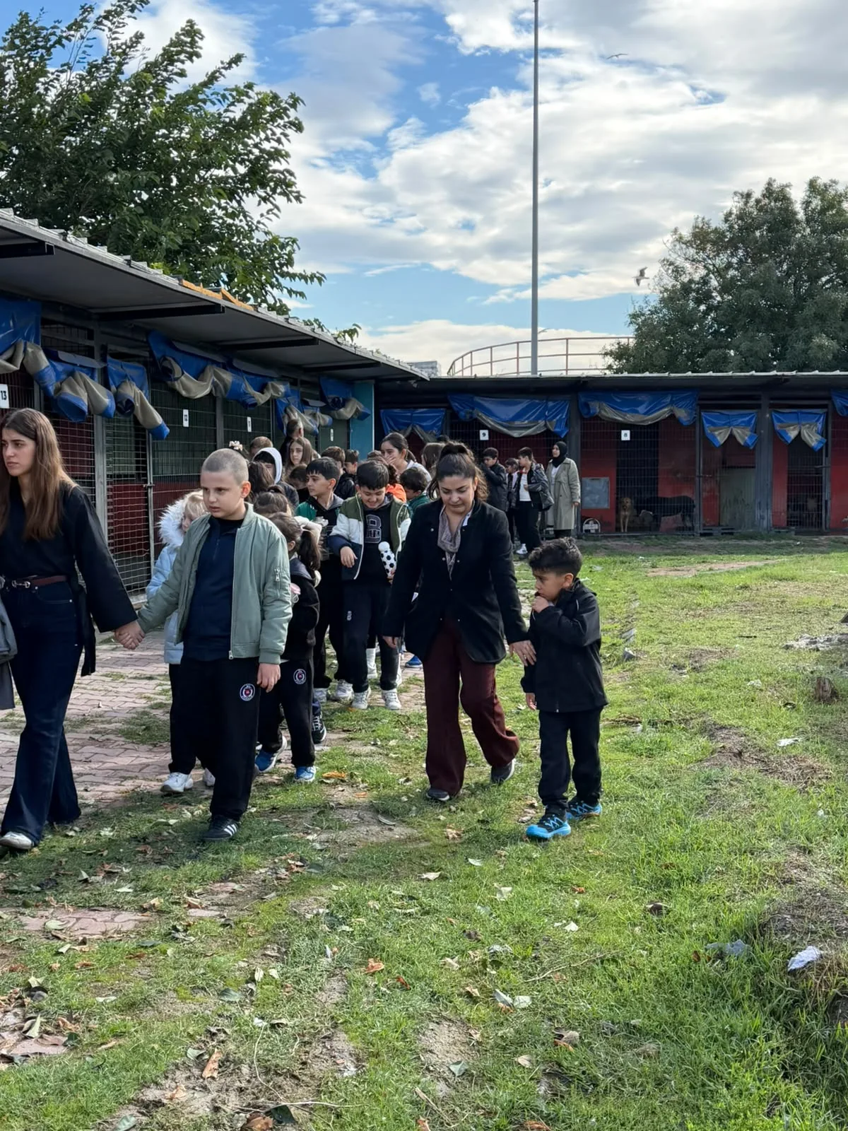 4 Ekim Dünya Hayvanları Koruma Günü görseli 9