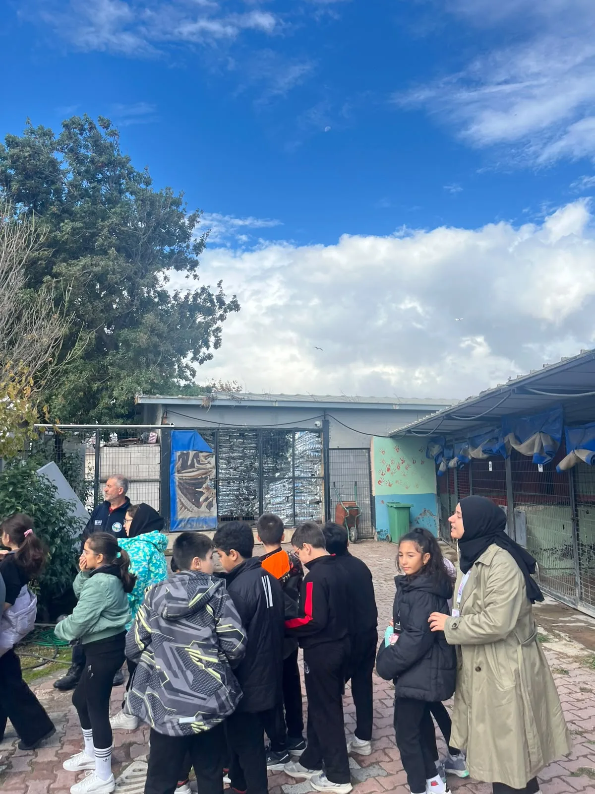 4 Ekim Dünya Hayvanları Koruma Günü görseli 30