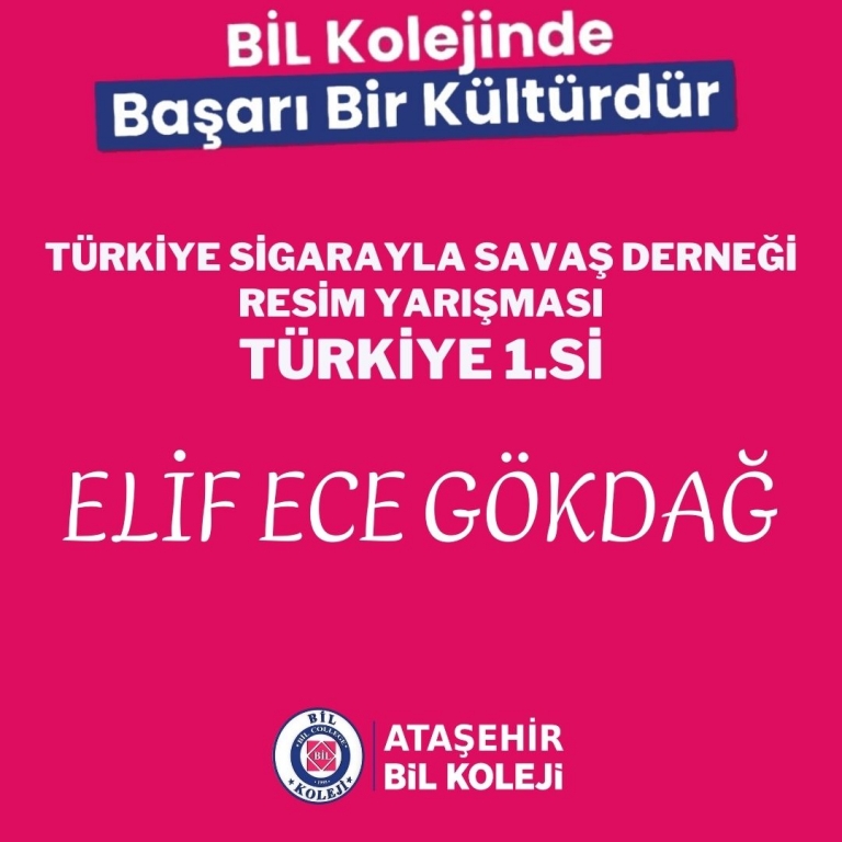 TÜRKİYE SİGARAYLA SAVAŞ DERNEĞİ Resim Yarışması Türkiye 1.si