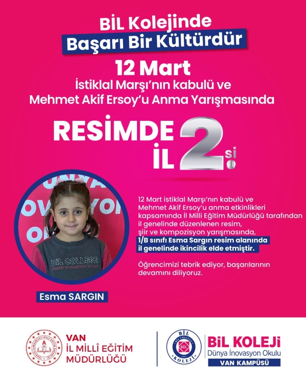Resimde İl 2'si