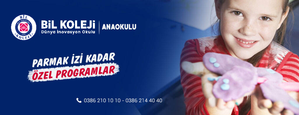 Bil Okulları
