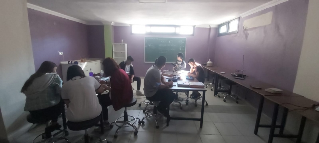 Laboratuvar Kullanımı görseli 4