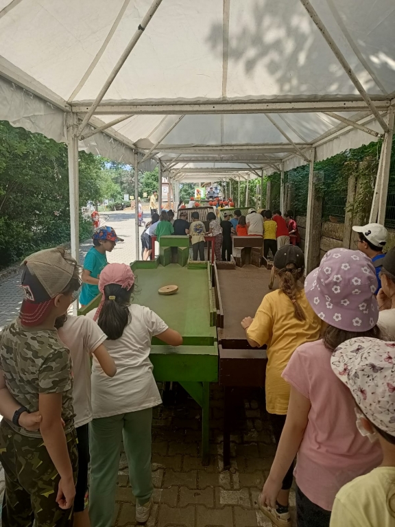 MİHRİBAT KORUSU DOĞADA BİR GÜN ETKİNLİĞİ görseli 17
