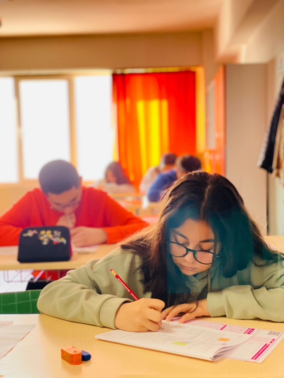 Dünya İnovasyon Okulu Aydın Bil Koleji'nde Bursluluk Sınavı Heyecanı görseli 4