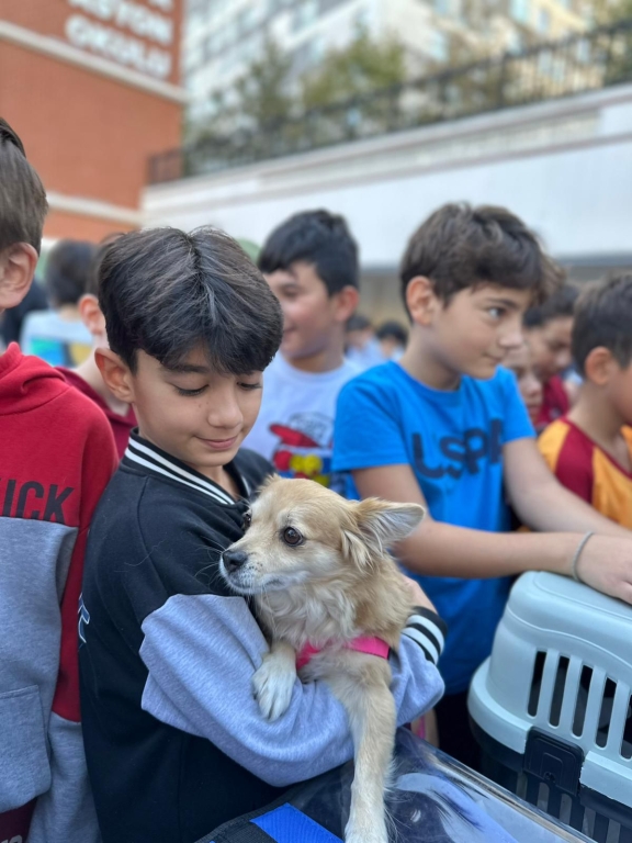 4 Ekim Hayvanları Koruma Günü Dünya Onlarla Beraber Daha Güzel görseli 7