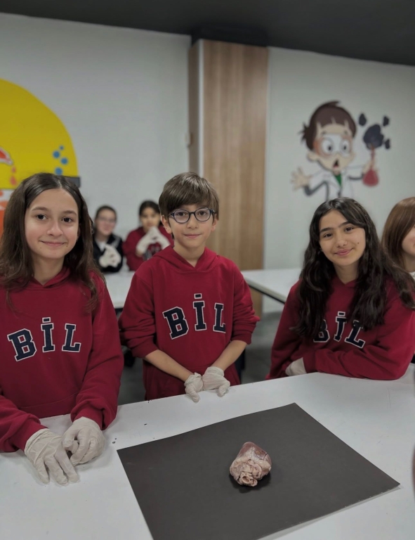 ✨ Fen Dersinde Bilimsel Keşif! ✨ görseli 4
